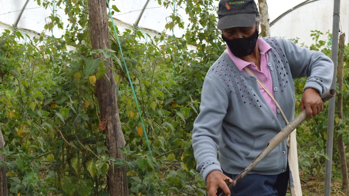 Capacitación en género y cambio climático en Ecuador Consultoría GWP