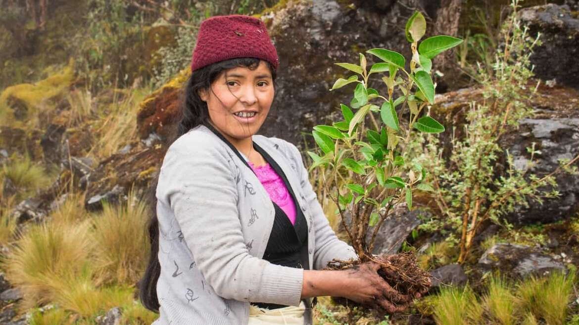 Gobierno de Canadá destina 14.4 millones de dólares a la biodiversidad y la equidad de género Proyecto CEPF